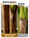 Extra-Large Artificial Banana Tree Plant for Living Room, High-End Bionic Green Plant, Fake Tree for Indoor Landscaping Decoration, Floor-Standing Ornament