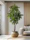 Artificial Green Plant Jacaranda Pomelo Tree Fake Tree Large Indoor Living Room Floor-Standing Decorative Ornament Artificial Plant Landscaping