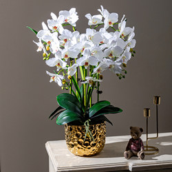 High-End Realistic Artificial Phalaenopsis Orchid Fake Flower Bionic Plastic Flower Arrangement Potted Plant Ornament Living Room Decoration
