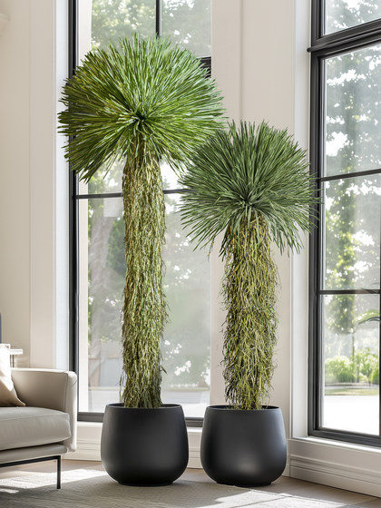 Light Luxury High-End Artificial Green Plant Dracaena Millenaria Fake Tree Indoor Living Room Decoration Floor-Standing Ornament Potted Plant