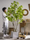 High-End Artificial Tree Japanese Bellflower and Horse-Dranker Tree Green Plant Potted Plant Artificial Tree Indoor Living Room Decoration Ornament