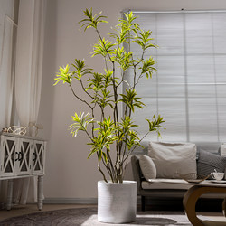 Artificial Green Plant Lily Bamboo Indoor Living Room Large Floor-Standing Ornament Fake Tree High-End Bionic Plant Tree Landscaping