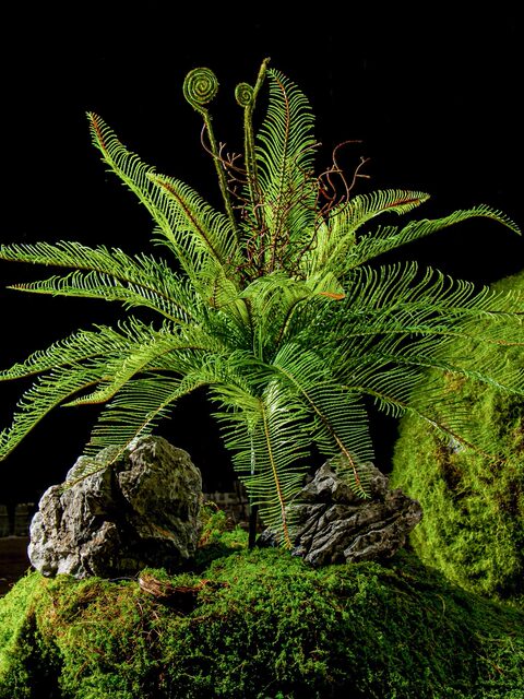 Artificial Green Plants, Green Fake Grass Bunches, Plastic Money Grass for Flower Arrangements, Decorative Landscaping, Fake Leaf Ferns