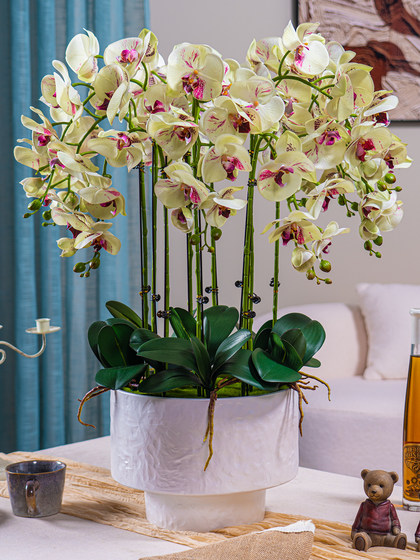 Large Pot of High-End, Realistic-Feeling, Moisturizing Phalaenopsis Artificial Flowers, Plastic Dried Flowers, Fake Floral Arrangements, Indoor Living Room Decorations