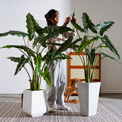 2026 New Product Salian Alocasia Large Artificial Tree Decorative Green Plant Bionic Plant Indoor Living Room Landscaping Ornament