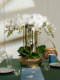 High-End Realistic Butterfly Orchid Indoor Living Room Front Desk Decoration Fake Flower Arrangement Potted Plant Light Luxury