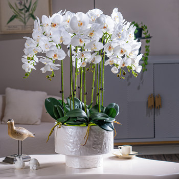 Large Pot of High-End, Realistic-Feeling, Moisturizing Phalaenopsis Artificial Flowers, Plastic Dried Flowers, Fake Floral Arrangements, Indoor Living Room Decorations