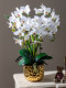 High-End Realistic Artificial Phalaenopsis Orchid Fake Flower Bionic Plastic Flower Arrangement Potted Plant Ornament Living Room Decoration