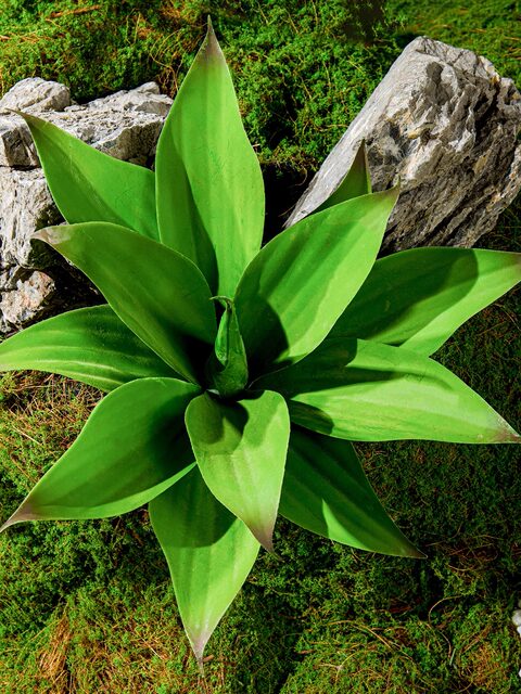 Artificial Green Plants, Green Fake Grass Bunches, Plastic Money Grass for Flower Arrangements, Decorative Landscaping, Fake Leaf Ferns