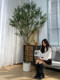 Olive Tree Artificial Green Plant High-End Light Luxury Indoor Living Room Decoration Floor-Standing Ornament Bionic Plant Large Fake Tree