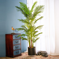 Large Artificial Phoenix Tail Palm, Phoenix Tail Bamboo, Fake Tree, Indoor Living Room Floor-Standing Green Plant, Potted Decorative Ornament