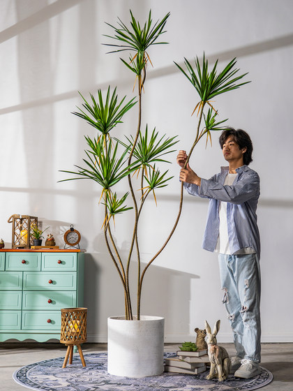 Large Artificial Millennium Tree, Dragon's Blood Tree, Green Plant, Fake Tree, Indoor Living Room Window Display Decoration, Bionic Potted Plant