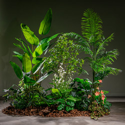 Internet-Famous Combination of Artificial Trees, Green Plants, Fake Trees, Floor-Standing Bionic Potted Plants, Indoor Window Display, Staircase Landscaping Decoration