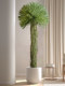 Light Luxury High-End Artificial Green Plant Dracaena Millenaria Fake Tree Indoor Living Room Decoration Floor-Standing Ornament Potted Plant