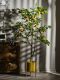 Nordic ins Style Artificial Lemon Tree Fake Tree Green Plant Potted Decoration for Living Room, Window Display, Clothing Store Plant Ornament