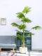 Large Artificial Palm Tree with Fan-Shaped Leaves, Floor-Standing Potted Plant, Fake Tree, Green Plant, Indoor Living Room Landscaping Decoration Ornament