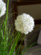 Artificial Hydrangea Reed Grass Green Plant Landscaping Bionic Fake Flower Arrangement Fake Tree Indoor Living Room Floor-Standing Decoration