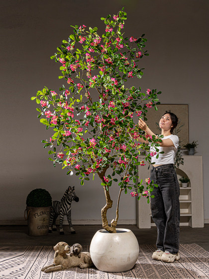 Artificial Green Plant Money Tree Fake Flower Tree High-End Light Luxury Living Room Balcony Floor-Standing Potted Plant Decoration Window Display Landscaping