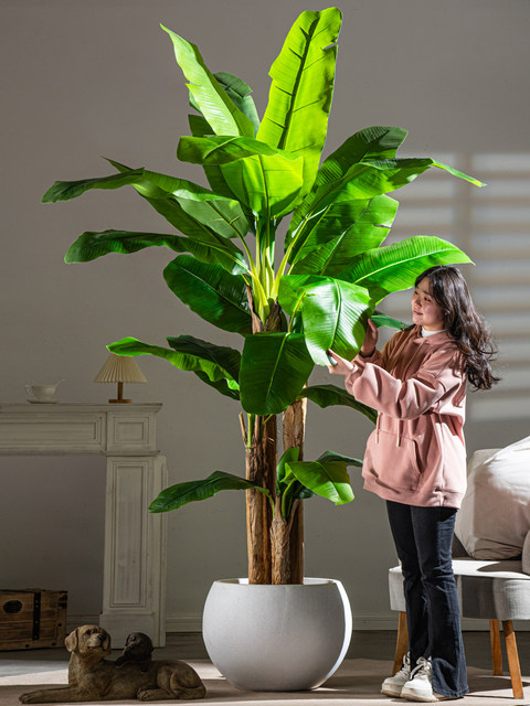 Sen Yicheng High-End Light Luxury Large Artificial Banana Tree Plant, Simulated Fake Tree, Green Plant for Indoor Living Room Landscaping Decoration