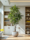 Artificial Green Plant Jacaranda Pomelo Tree Fake Tree Large Indoor Living Room Floor-Standing Decorative Ornament Artificial Plant Landscaping