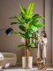 Large High-End Light Luxury Artificial Banana Tree, Fake Tree, Simulated Green Plant, Indoor and Outdoor Landscape Decoration Potted Plant