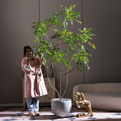 Artificial Nandina Bamboo High-End Light Luxury Indoor Floor-Standing Decorative Ornaments Fake Tree Large Artificial Green Plant Fake Flower Tree Plant
