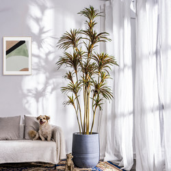 Large Artificial Dragon Blood Tree, Millennium Wood Green Plant, Fake Tree Plant, Indoor Living Room Floor-Standing Potted Plant, Landscaping Decoration Bonsai