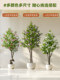 Simulated Green Plants, Artificial Plants, Myrtle, High-End Light Luxury Floor-Standing Decoration, Indoor Potted Plants, Simulated Trees, Living Room Ornaments