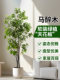 Artificial Horsewood, Bionic Green Plant, Hanging Bell Fake Flower Tree, High-End Light Luxury Living Room Floor-Standing Potted Plant, Indoor Decorative Plant