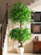 Artificial Green Plant Climbing Banyan Tree Fake Tree Bionic Plant Happiness Tree Indoor Living Room Floor-Standing Potted Plant Landscape Decoration