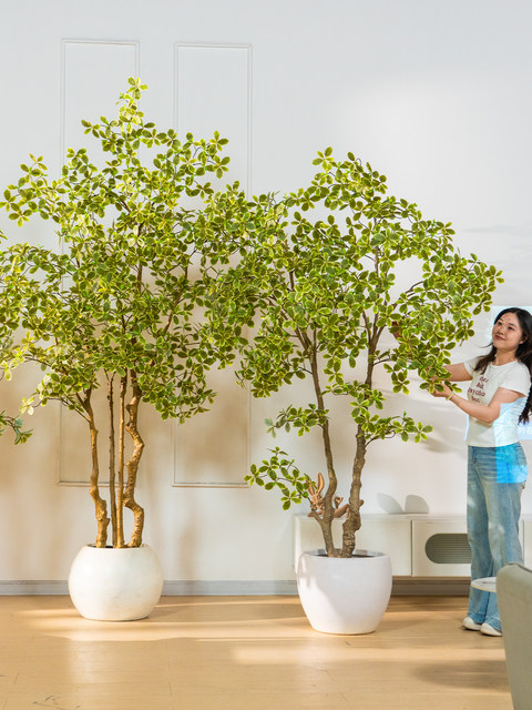 High-End Artificial Green Plant, Fortune Tree, Fake Tree, Artificial Money Tree, Fake Potted Plant, Living Room Indoor Floor-Standing Decorative Ornament