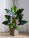 Artificial Green Plants Indoor Potted Calla Lilies, Artificial Plants, Fake Trees, Living Room Floor-Standing Sofa Corner Decoration
