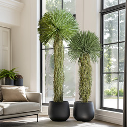 Light Luxury High-End Artificial Green Plant Dracaena Millenaria Fake Tree Indoor Living Room Decoration Floor-Standing Ornament Potted Plant