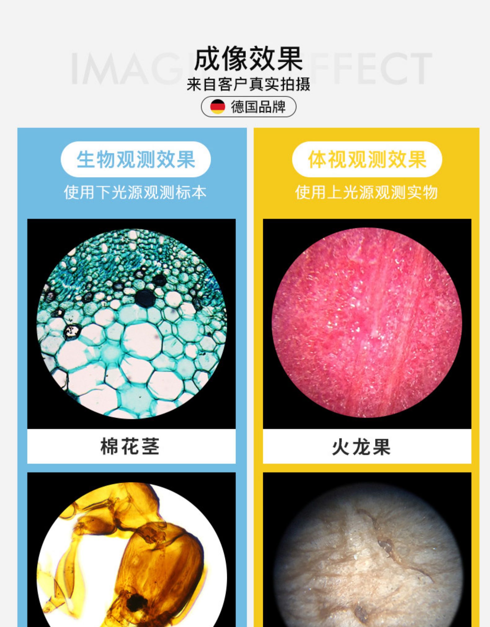 儿童节礼物 德国 宝视德 bresser 儿童科学显微镜 可连手机 图2