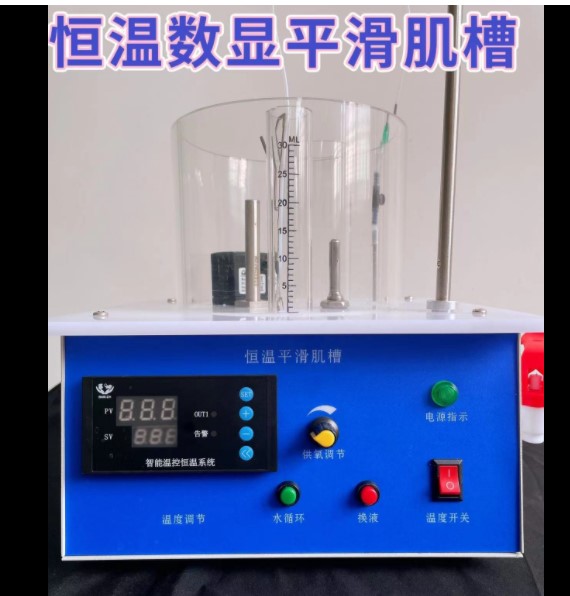 恒温平滑肌槽 数显带漏电保护平滑肌槽 平滑肌槽