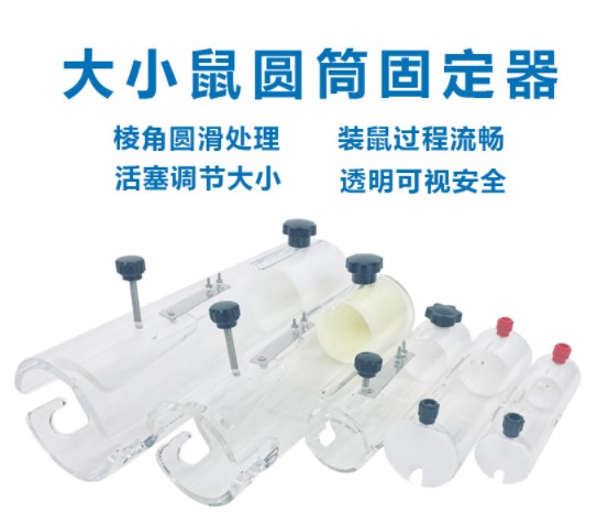 圆筒大小鼠固定器全透明亚克力材质快装鼠筒大小鼠尾静脉注射固定