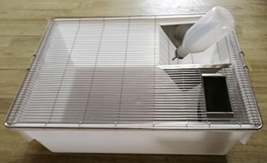 大小鼠群养繁殖笼 等实验室动物笼具饲养笼 H-5饲养盒