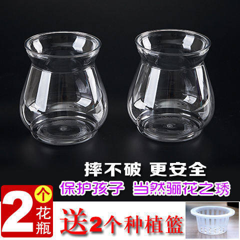 Plastic Vase Imitation Glass Plant Guanyin Bamboo Gold Ge Decoration Green Planting Water Bacclamp Business Flowers Special Transparency