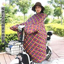 Large Rainy Day mini tricycle leather special electric motorcycle front windshield is surrounded by autumn