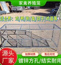 Rabbit cage wire mesh professional chicken cage new poultry new anti-weasel indoor special stainless steel breeding