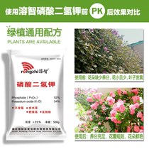 Monopotassium Phosphate Universal Flower Fertilizer Potted Strawberry Triangle Plum Orchid Fruit Tree Composite Foliar Fertilizer