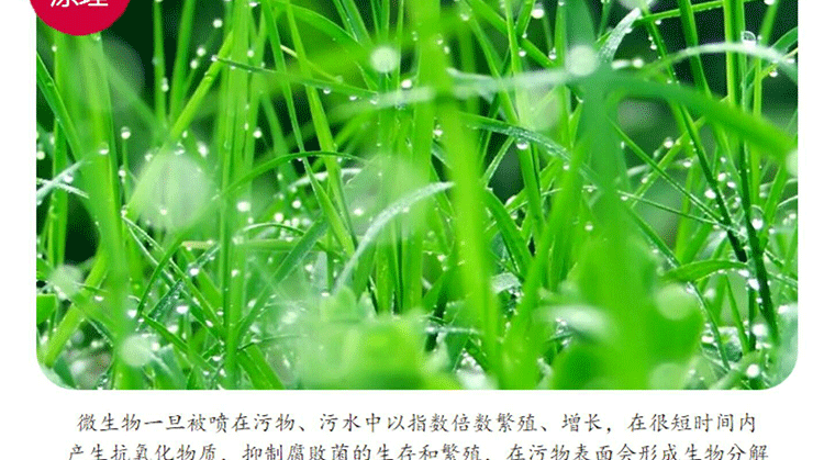 Khử mùi vi sinh vật trang trại khử mùi khô nhà vệ sinh bể phốt khử mùi nhà vệ sinh công cộng khử trùng chuồng khử trùng - Trang chủ vien tay long giat