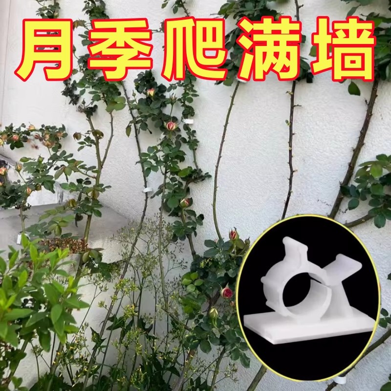 Vine Fasteners for Climbing Roses and Other Climbing Plants, Wall-Mounted Plant Support Clips for Gardening Outdoors