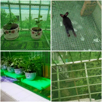 Green thickened balcony protection net anti-falling net anti-falling things safety net anti-theft net plastic anti-cat anti-falling