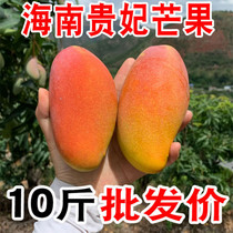 Zhenzzong Hainan Guifei Mountain 10 catty fresh shoe season frug manny mango red gold drag