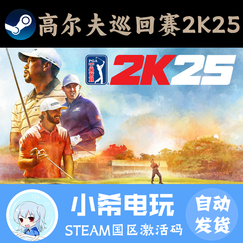 希尔游戏Steam能玩吗?2025年最新购买与验证指南
