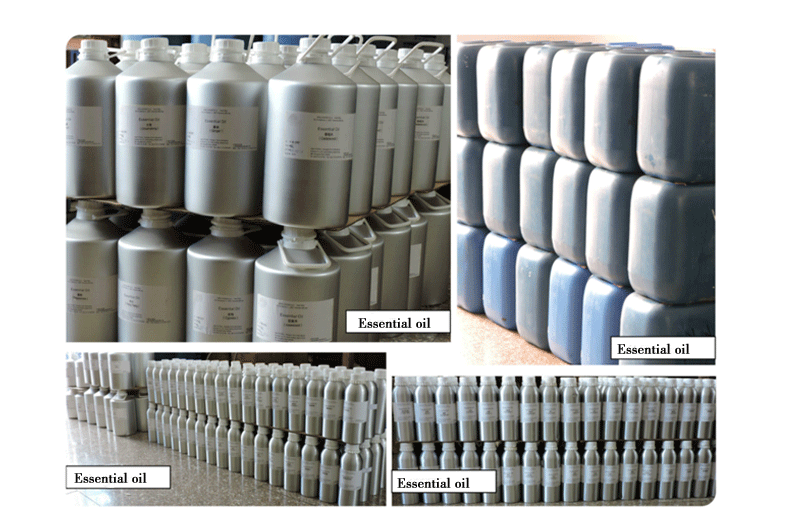Tinh dầu oải hương 100ml tinh dầu thực vật đơn phương Tinh dầu chăm sóc da Hương liệu giúp ngủ và ngủ Thiên Chúa nhà máy trực tiếp tinh dau tram