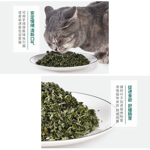 Cat Mint 360 мл кошачья кошка закуски для удаления шариков для волос для переваривания чистого перора