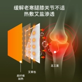 Пять -летний магазин 12 цветов цвета Антарктика, нагревающие физиотерапевтические полыни