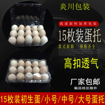 Disposable plastic egg box 15 egg tray medium medium gift box 15 portable thick plastic egg tray